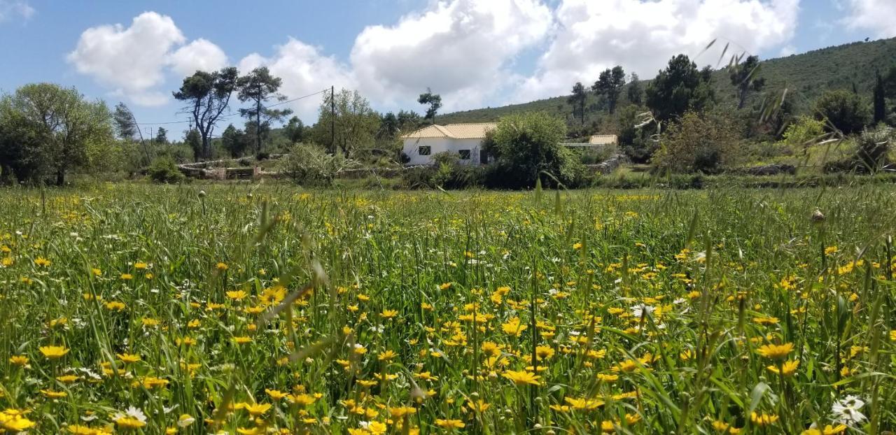 Agia Marina  Dorinda 아파트 외부 사진