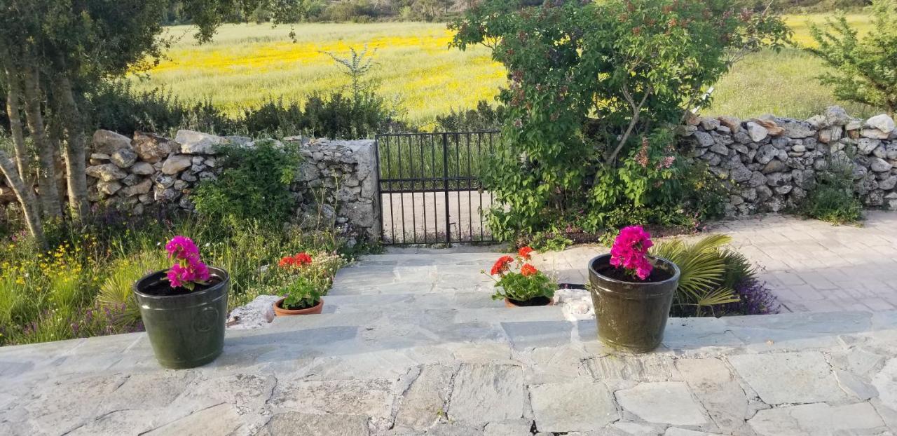 Agia Marina  Dorinda 아파트 외부 사진